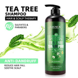 Premium Tea Tree Shampoo - THEHAIRSHOP.PK